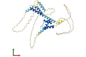 AlphaFold protein structure predicition of Mouse Recombinant Meis3 Protein, UniprotID P97368