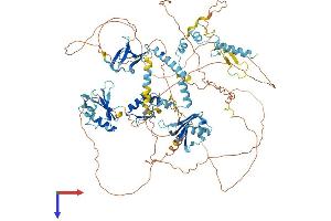 AlphaFold protein structure predicition of Mouse Recombinant Rbm10 Protein, UniprotID Q99KG3