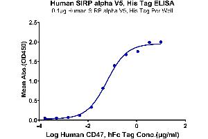 Immobilized Human SIRP alpha V5, His Tag at 1 μg/mL (100 μL/Well).