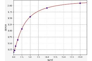 Parvalbumin (PVALB) ELISA Kit
