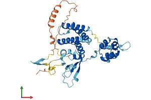 AlphaFold protein structure predicition of Mouse Recombinant Fbxo25 Protein, UniprotID Q9D2Y6
