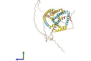 AlphaFold protein structure predicition of Human Recombinant PLIN1 Protein, UniprotID O60240