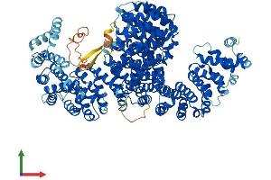 AlphaFold protein structure predicition of Human Recombinant IPO4 Protein, UniprotID Q8TEX9