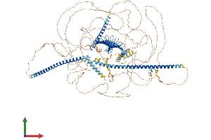 AlphaFold protein structure predicition of Human Recombinant CENPJ Protein, UniprotID Q9HC77