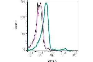 Cell surface detection of P2X4 by direct flow cytometry in live intact human Jurkat T-cell leukemia cells: + Rabbit IgG isotype control-APC.