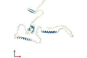 AlphaFold protein structure predicition of Mouse Recombinant Lysmd4 Protein, UniprotID Q8CC84