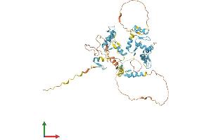 AlphaFold protein structure predicition of Mouse Recombinant Fiz1 Protein, UniprotID Q9WTJ4