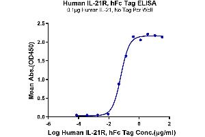 Immobilized Human IL-21 at 1 μg/mL (100 μL/Well) on the plate.