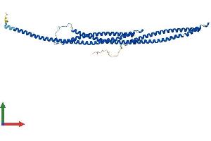 AlphaFold protein structure predicition of Human Recombinant TEKT1 Protein, UniprotID Q969V4