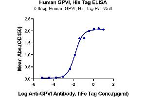 Immobilized Human GPVI, His Tag at 0.