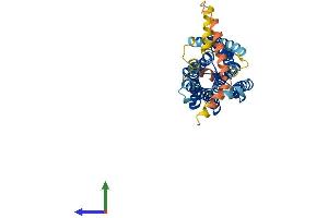 AlphaFold protein structure predicition of Mouse Recombinant Ptgfr Protein, UniprotID P43117