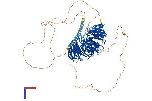AlphaFold protein structure predicition of Human Recombinant EML4 Protein, UniprotID Q9HC35