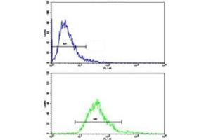 Flow cytometric analysis of CEM cells using MGMT antibody (bottom histogram) compared to a negative control (top histogram).