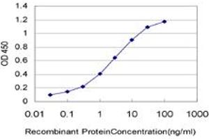 Detection limit for recombinant GST tagged THNSL1 is approximately 0. (THNSL1 anticorps  (AA 151-250))