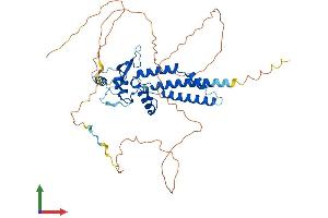 AlphaFold protein structure predicition of Human Recombinant TFAP2E Protein, UniprotID Q6VUC0