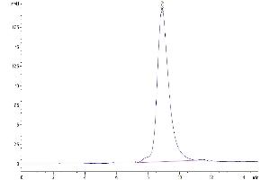 The purity of Human GEP is greater than 95 % as determined by SEC-HPLC.