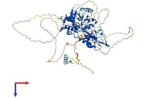 AlphaFold protein structure predicition of Human Recombinant DCLRE1C Protein, UniprotID Q96SD1