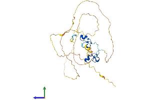 AlphaFold protein structure predicition of Mouse Recombinant Zfp36l1 Protein, UniprotID P23950