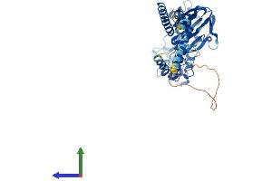 AlphaFold protein structure predicition of Human Recombinant ASIC2 Protein, UniprotID Q16515