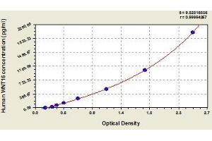 Typical standard curve (WNT16 Kit ELISA)