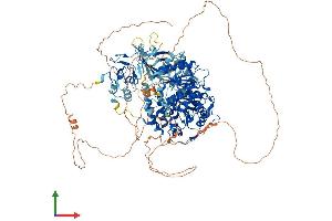 AlphaFold protein structure predicition of Mouse Recombinant Upf1 Protein, UniprotID Q9EPU0