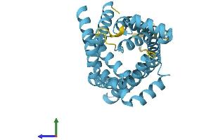 AlphaFold protein structure predicition of Human Recombinant SLC25A45 Protein, UniprotID Q8N413