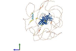 AlphaFold protein structure predicition of Human Recombinant NFATC2 Protein, UniprotID Q13469