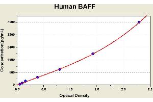 Diagramm of the ELISA kit to detect Human BAFFwith the optical density on the x-axis and the concentration on the y-axis. (BAFF Kit ELISA)