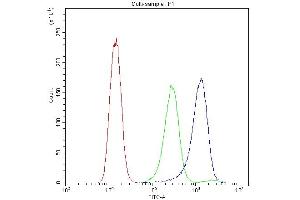 Flow Cytometry analysis of A431 cells using anti-ATG14L antibody (ABIN3043721).