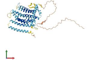 AlphaFold protein structure predicition of Human Recombinant TMEM184C Protein, UniprotID Q9NVA4