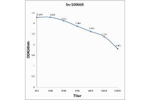 anti-Coxsackie Virus A16 Polymerase3D antibody