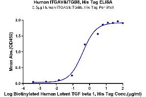 Immobilized Human ITGAV&ITGB8, His Tag at 5 μg/mL (100 μL/well) on the plate.