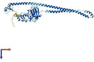 AlphaFold protein structure predicition of Human Recombinant TRIM7 Protein, UniprotID Q9C029