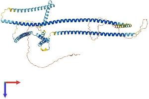 AlphaFold protein structure predicition of Human Recombinant CFAP100 Protein, UniprotID Q494V2