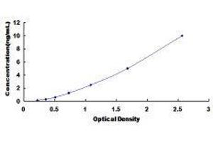ELISA image for 3-hydroxybutyrate Dehydrogenase, Type 1 (BDH1) ELISA Kit (ABIN421941)