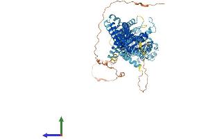 AlphaFold protein structure predicition of Human Recombinant MX2 Protein, UniprotID P20592