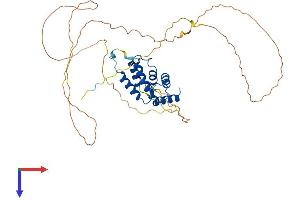 AlphaFold protein structure predicition of Mouse Recombinant Ppp4r2 Protein, UniprotID Q0VGB7
