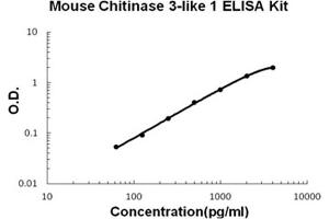 Mouse Chitinase 3-like 1/YKL-40 Accusignal ELISA Kit Mouse Chitinase 3-like 1/YKL-40 AccuSignal ELISA Kit standard curve. (Chitinase 3-Like 1/YKL-40 Kit ELISA)
