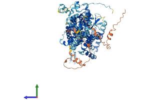 AlphaFold protein structure predicition of Human Recombinant SLC26A9 Protein, UniprotID Q7LBE3