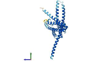 AlphaFold protein structure predicition of Human Recombinant TMEM120B Protein, UniprotID A0PK00