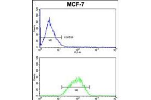 Flow cytometric analysis of MCF-7 cells (bottom histogram) compared to a negative control cell (top histogram). (Der1-Like Domain Family, Member 2 (DERL2) (AA 191-218), (C-Term) anticorps)