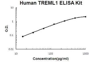 Human TREML1 PicoKine ELISA Kit standard curve (TREML1 Kit ELISA)