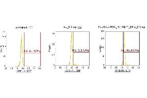 Flow Cytometry (FACS) image for anti-Fatty Acid Binding Protein 7, Brain (FABP7) (AA 1-132) antibody (PE) (ABIN5566686)