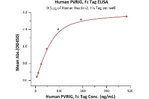 Immobilized Human Nectin-2, His Tag (ABIN4949132,ABIN4949133) at 5 μg/mL (100 μL/well) can bind Human PVRIG, Fc Tag (ABIN6810041,ABIN6938890) with a linear range of 8-125 ng/mL (QC tested).