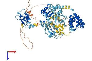 AlphaFold protein structure predicition of Human Recombinant BIRC3 Protein, UniprotID Q13489