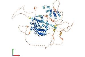 AlphaFold protein structure predicition of Mouse Recombinant Bub1 Protein, UniprotID O08901