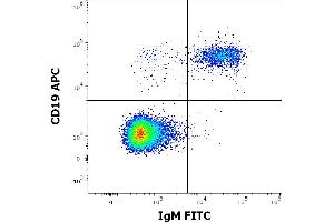 Flow Cytometry (FACS) image for Mouse anti-Human IgM antibody (FITC) (ABIN94403)