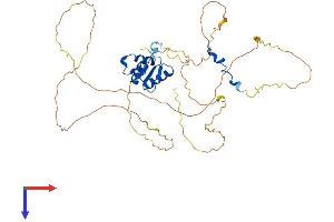 AlphaFold protein structure predicition of Mouse Recombinant Elk4 Protein, UniprotID P41158