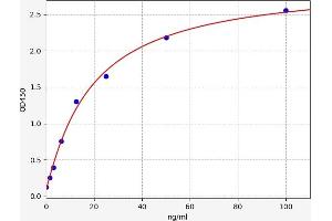Insulin-Like Growth Factor Binding Protein 5 (IGFBP5) ELISA Kit