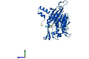 AlphaFold protein structure predicition of Mouse Recombinant Upb1 Protein, UniprotID Q8VC97